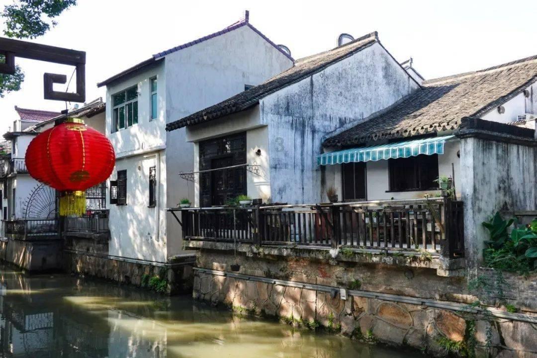 救援小孔雀